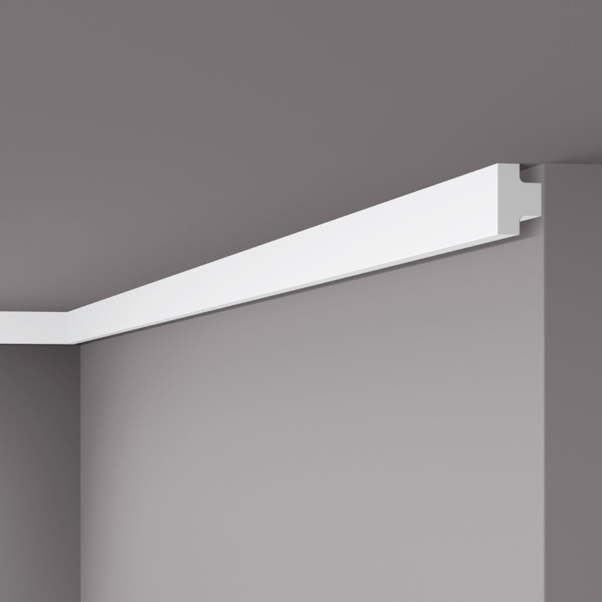 Sanca WALLSTYL T40 20x30x2000mm